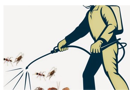 Dịch vụ diệt côn trùng